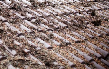 Armshead roof cleaning companies